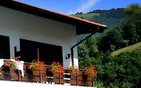 Spa Hotel Planinata